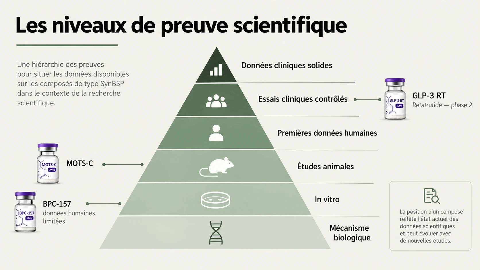 Pyramide des niveaux de preuve, du mécanisme biologique aux données cliniques solides.