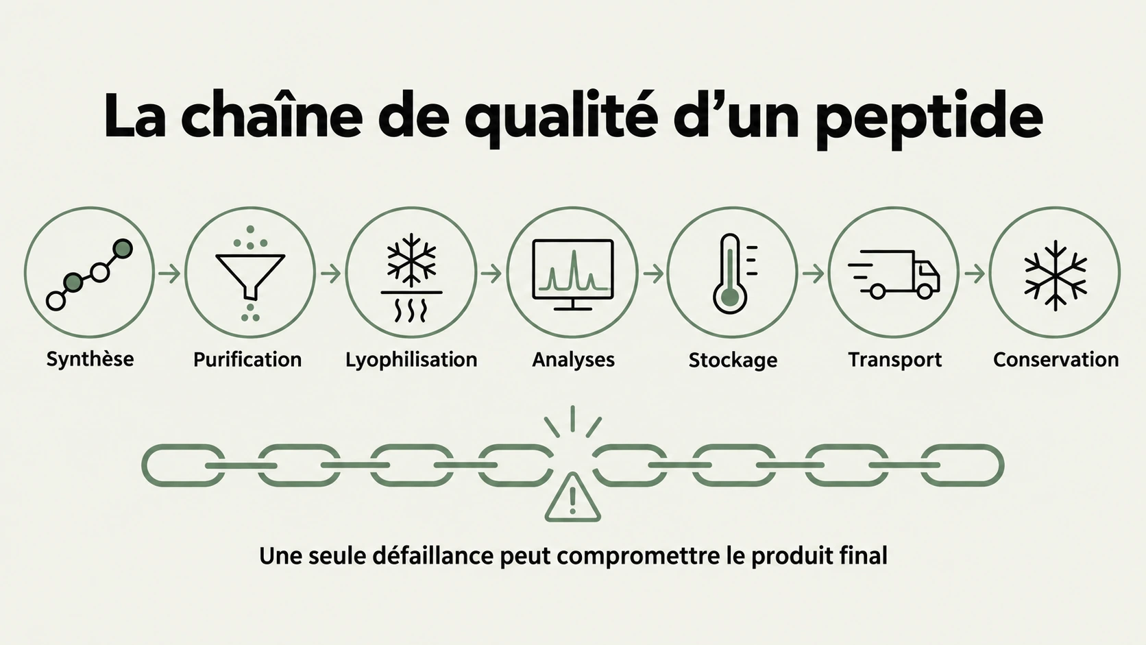 Chaîne de qualité d’un peptide, de la synthèse à la conservation finale.